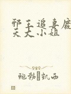 邪王追妻废材逆天大小姐