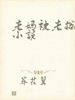 老妈被老总调教小说封面