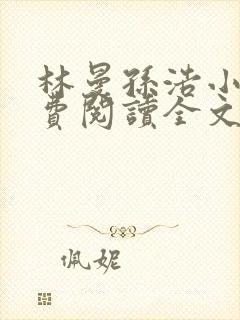 林曼孙浩小说免费阅读全文最新章节封面