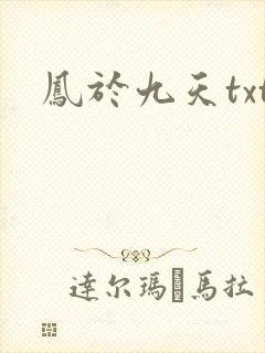 凤于九天txt