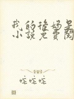 我的后妈是小姨小说免费阅读封面