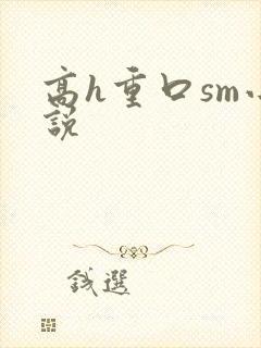 高h重口sm小说