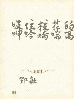 吸住校花的奶头呻吟娇喘高潮