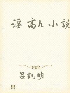 淫 高h 小说封面