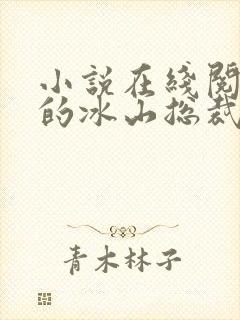 小说在线阅读我的冰山总裁老婆封面