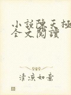 小说陈天极方茜全文阅读