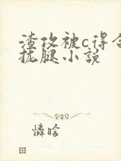 渣攻被c得合不拢腿小说封面