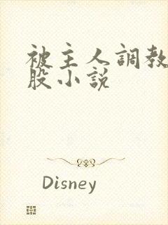 被主人调教打屁股小说封面