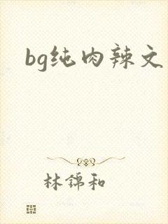 bg纯肉辣文