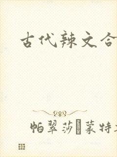 古代辣文合集h封面