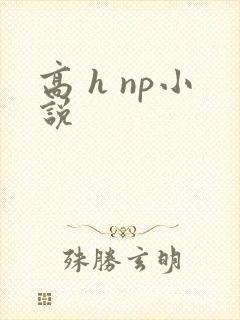 高 h np小说
