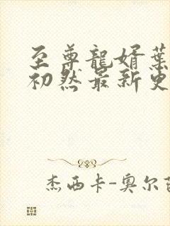 至尊龙婿叶辰萧初然最新更新