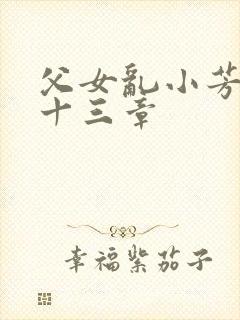 父女乱小芳第三十三章