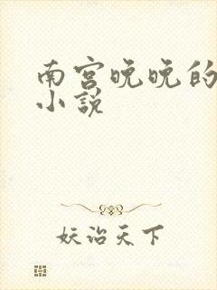 南宫晚晚的全部小说