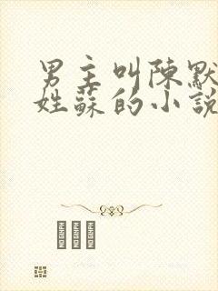 男主叫陈默女主姓苏的小说