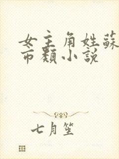 女主角姓苏的都市类小说封面