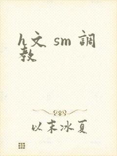 h文 sm 调教