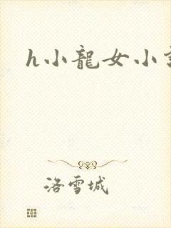 h小龙女小说