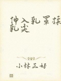 伸入乳罩揉她的乳尖