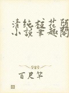 清纯校花堕落记小说笔趣阁下载