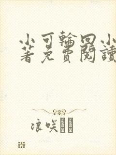 小可轮回小说原著免费阅读
