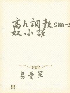 高h调教sm女奴小说