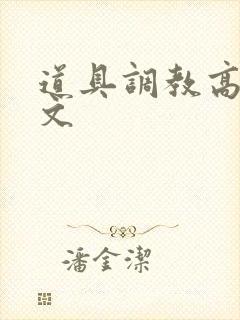 道具调教高h污文封面