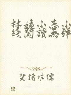 林姨小志小说在线阅读无弹窗封面