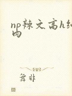 np辣文高h纯肉