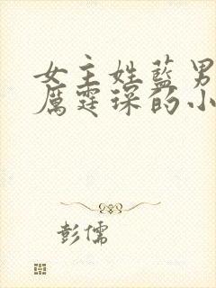 女主姓蓝男主叫厉霆琛的小说