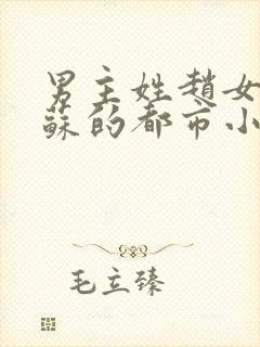 男主姓赵女主姓苏的都市小说