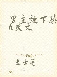 男主被下药后高h爽文