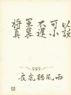 将军不可以魏云真慕迟小说笔趣阁