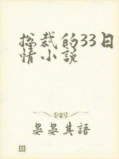 总裁的33日索情小说