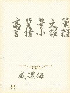 高质量文笔好的言情小说推荐封面