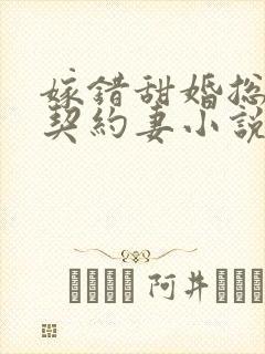 嫁错甜婚总裁的契约妻小说