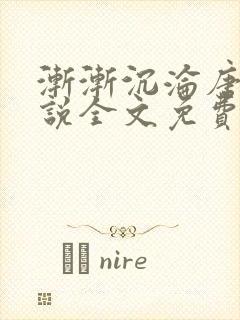 渐渐沉沦唐浪小说全文免费阅读