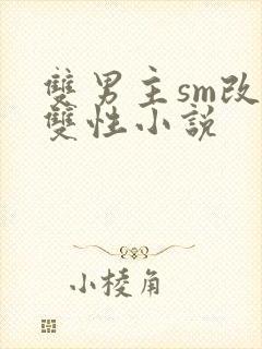 双男主sm改造双性小说