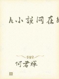 h小说网在线