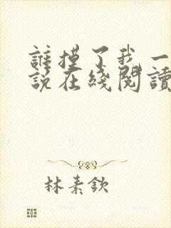 谁摸了我一下小说在线阅读