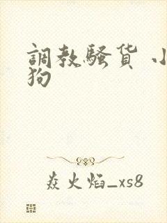 调教骚货 小母狗