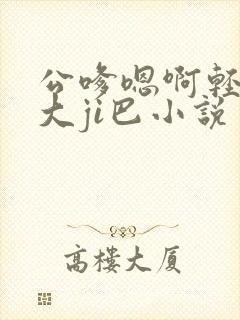 公嗲嗯啊轻点公大ji巴小说封面