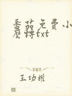 番茄免费小说怎么转txt