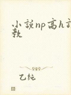 小说np高h调教