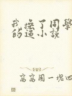 我操了同学妈妈的逼小说