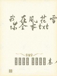 我在风花雪月等你全本txt