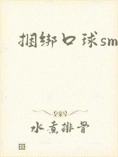 捆绑口球sm