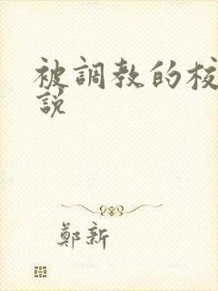 被调教的校花小说