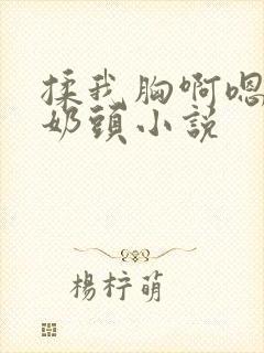 揉我胸啊嗯～吸奶头小说封面