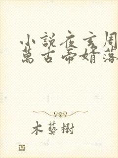 小说夜玄周幼薇万古帝婿落秋